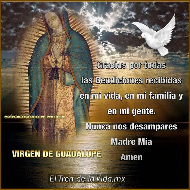 Oraciones milagrosas a la Virgen de Guadalupe: Poder y fe en tu vida